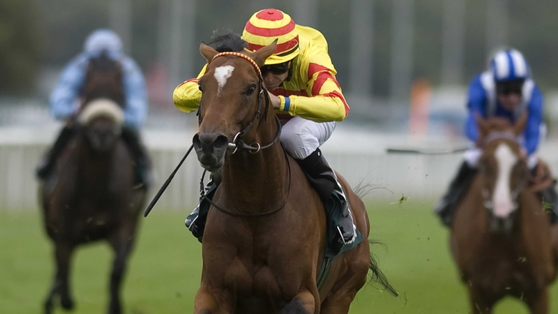 Saddler's Rock will contest the Royal Ascot Gold Cup for John Oxx