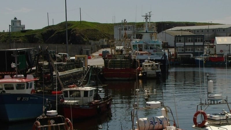 The European Commission had pushed for reductions in quotas on 30 fish stocks associated with the Irish fleet