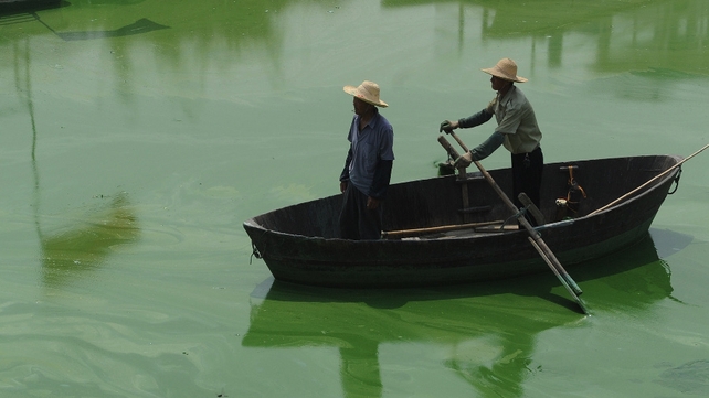 China has warned of the imminent danger of a blue algae outbreak in Chaohu Lake, the country's fifth largest freshwater lake