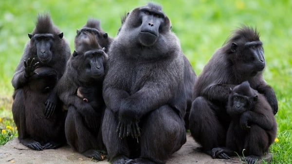 Father’s Day at Dublin Zoo