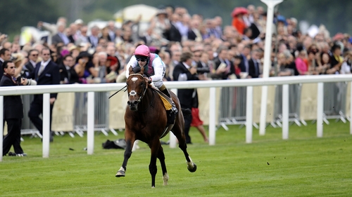 Frankel was the result of Kind's first mating with Galileo
