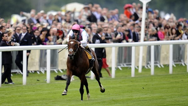 Frankel was the result of Kind's first mating with Galileo