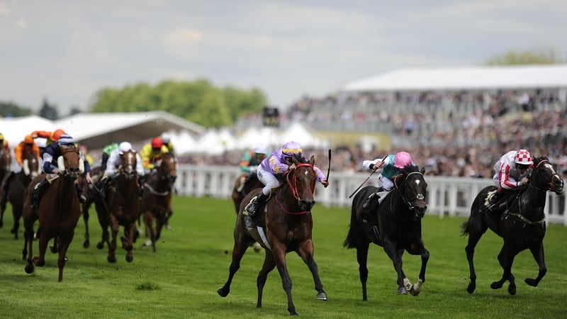 Little Bridge (centre) was always prominent and ran out a good winner