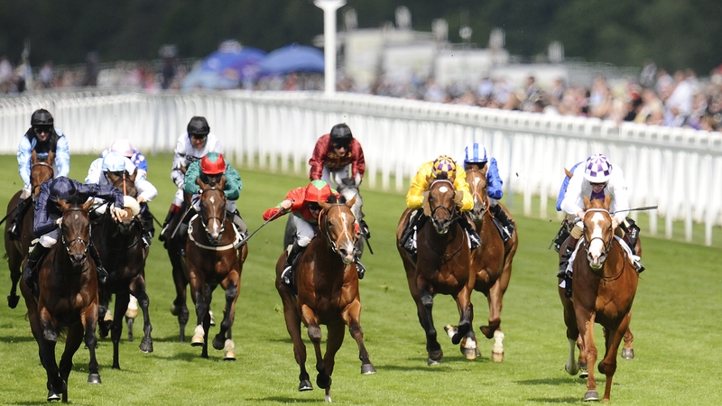 Dawn Approach (centre in orange) will not have too long of a break before his next outing