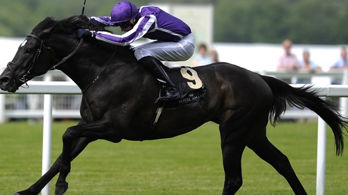 It's a first Royal Ascot winner for Joseph O'Brien