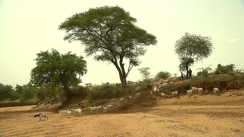 Cattle rustling and clashes over grazing are relatively common