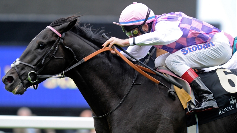 Johnny Murtagh steered Thomas Chippendale to victory