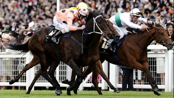 Black Caviar (salmon spots) just about held on but was far from convincing