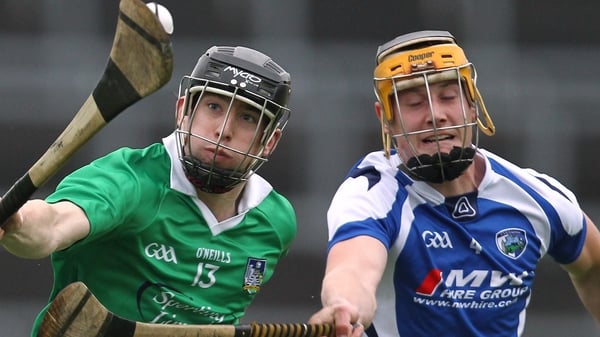 Limerick were 25-point winners against Laois