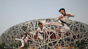 The Beijing Games was the 29th Olympic Games