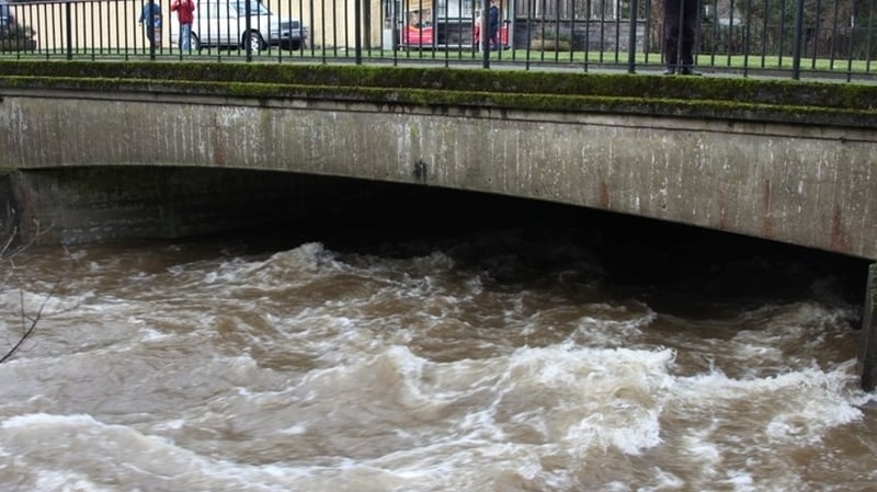 Reports have been received of dead fish as high up the river as Roundwood, and as far down the river as Ashford