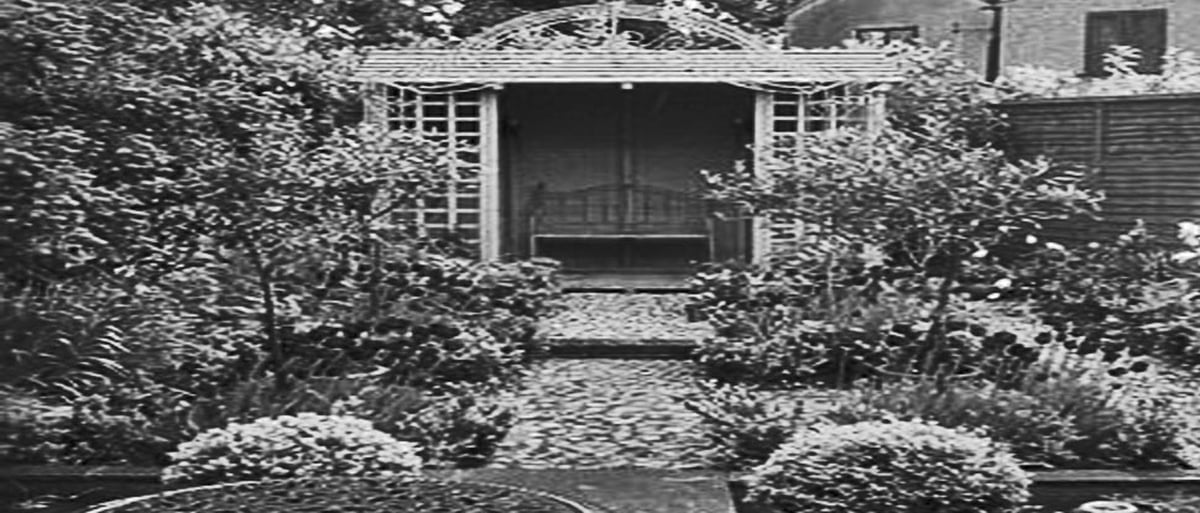 In The Garden of The Asylum