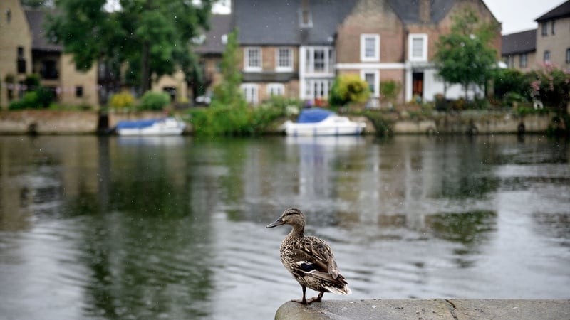 Several rivers in the UK are at a high level