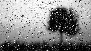 Éire Ní Fhaoláin show image