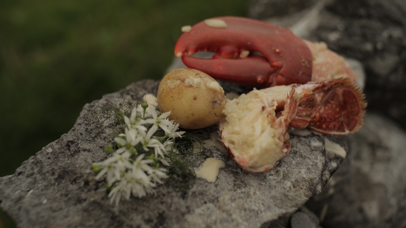 Martin Shanahan's Lobster and Whiskey Cream