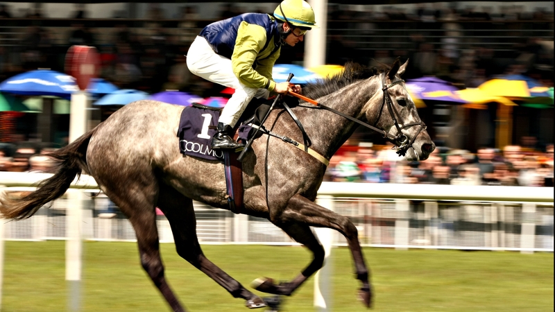 Gossamer Seed is ready to go in the Arthur Guinness European Breeders Fund Corrib Fillies Stakes