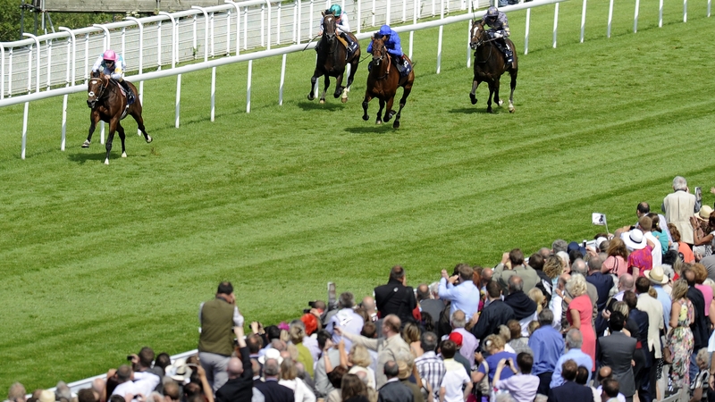 Frankel streaks clear of his rivals at Goodwood