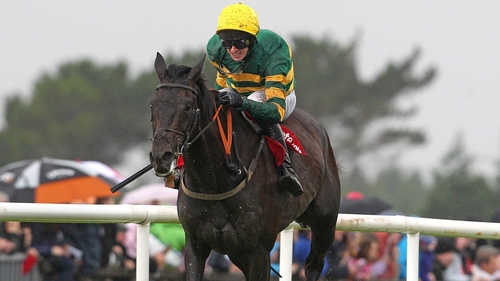 Bob Lingo was the winner of the feature race on the third day of the Galway Festival
