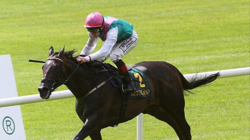 Dermot Weld, who has won the last three renewals of the Meld Stakes with Famous Name (pictured), is represented by Along Came Casey