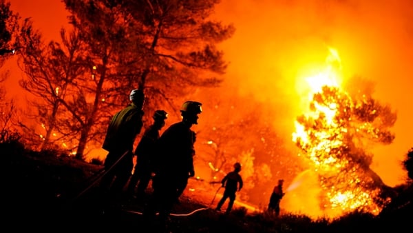 Firefighters of Alcoy and Elda try to extinguish a fire in Torre de Macanes near Alicante yesterday