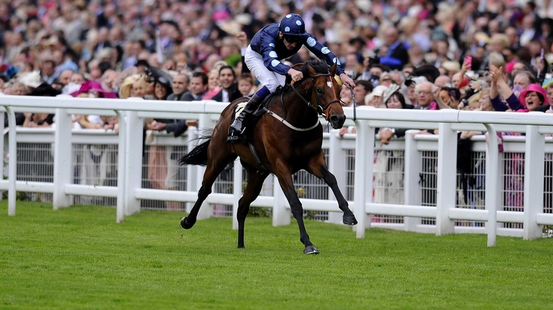 Reckless Abandon was last seen finishing in fifth place behind Sole Power in the King's Stand at Royal Ascot