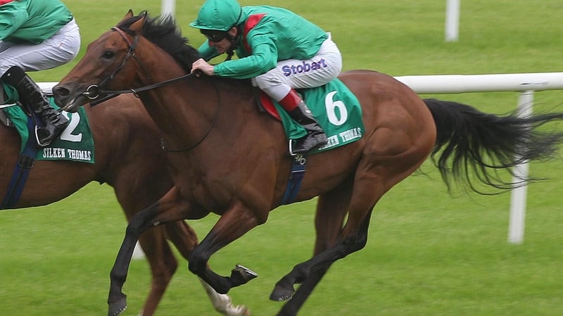 Vedani goes in the Follow Gowran Park On Facebook Handicap