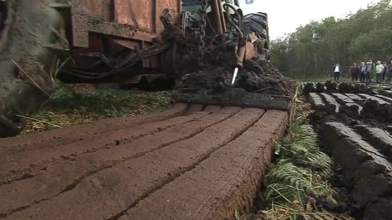 Friends of the Irish Environment argues the regulations fail to comply with several EU directives