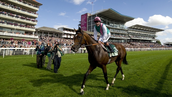 Frankel stands at at Juddmonte's Banstead Manor Stud for a stud fee of £125,000