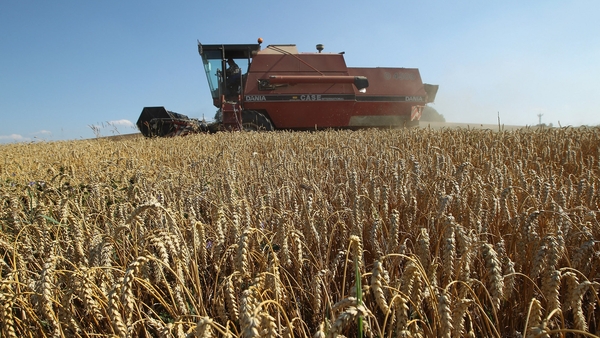 Droughts in the US and eastern Europe have pushed up world grain prices