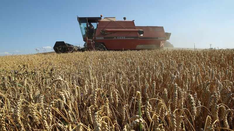 Droughts in the US and eastern Europe have pushed up world grain prices