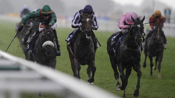 Shareta (noseband) was getting her head in front for the first time this season