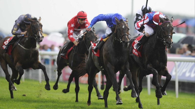 The Irish St Leger and the Melbourne Cup have opened up as possibilities for Royal Diamond (r) after his runner-up finish in the Ebor
