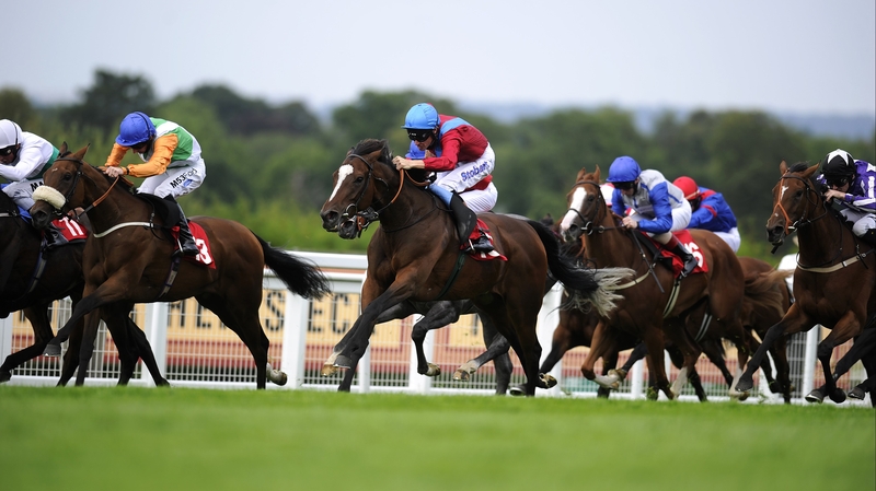 Dank (c) narrowly came up short in the Duke Of Cambridge Stakes at Royal Ascot