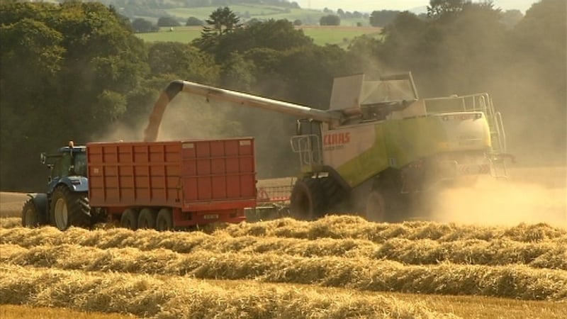 Grain farmers had feared that a large percentage of their crops would remain unharvested due to poor weather