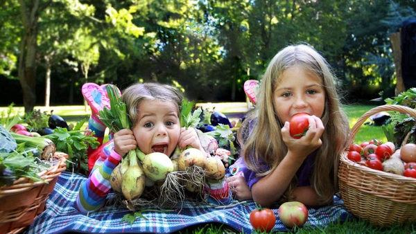 Bord Bia launch National Organic Week