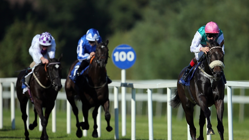 Jockey Pat Smullen onboard Big Break on his way to winning