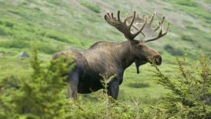 Mooney Goes Wild Monday 22 December 2025 show image