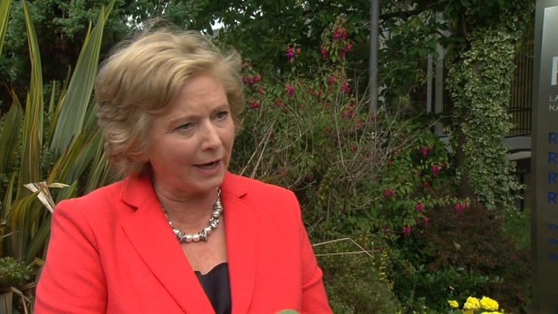 Minister Frances Fitzgerald rejected a former Supreme Court judge's suggestion that the referendum was unnecessary
