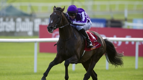 Aidan O'Brien: 'We have one eye on the Breeders' Cup, he's a horse that needs good ground'