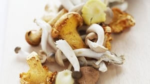 Brian McDermott's Mushroom recipes show image