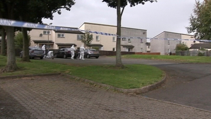 David Neill was stabbed in the chest outside his home in Parkmore, Craigavon