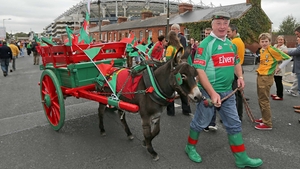 Mayo supporter Tom Farrell brought Daisy Brolly the donkey to Dublin for the occasion