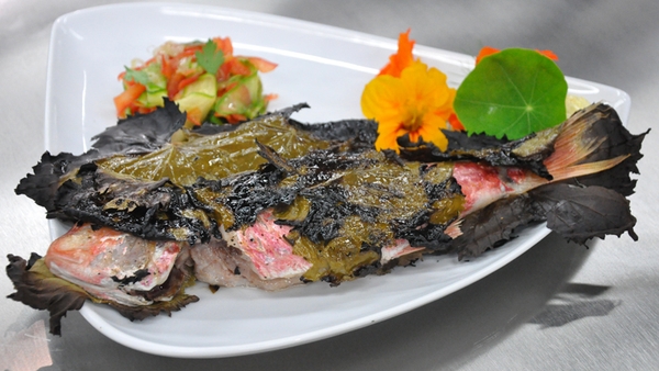 Grilled baby Red Mullet