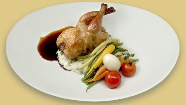 Squab pigeon