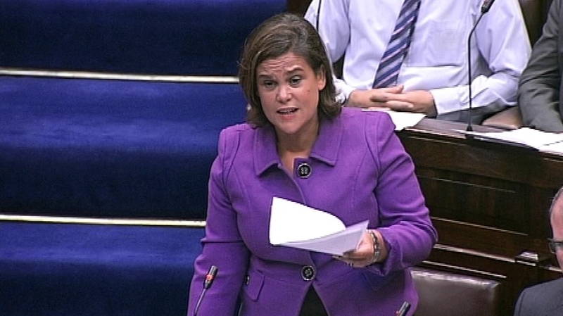 Mary Lou McDonald said the motion did not require the Government to pre-empt the findings of the report.