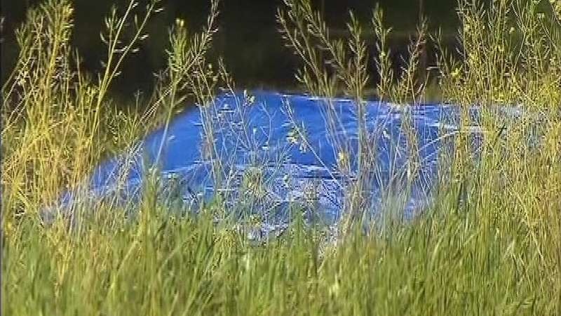 The site where the body of the Co Louth woman was discovered