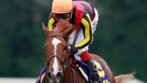 Orfevre now disputes favouritism with defending champion Danedream