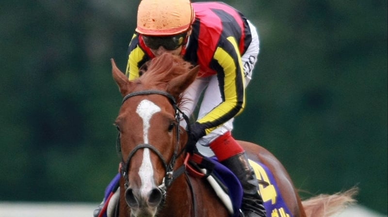 Orfevre now disputes favouritism with defending champion Danedream