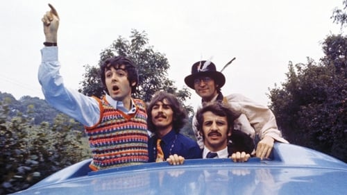 Special Beatles guitar, which had been displayed in Newbridge Museum, has been sold