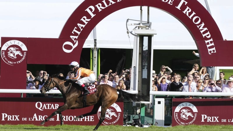 Danedream's emphatic win in last year's Arc saw her break the course record at Longchamp